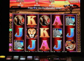 ayx官方app免费版