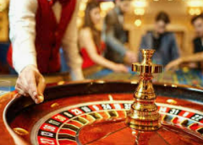 ayx官方app2024最新版